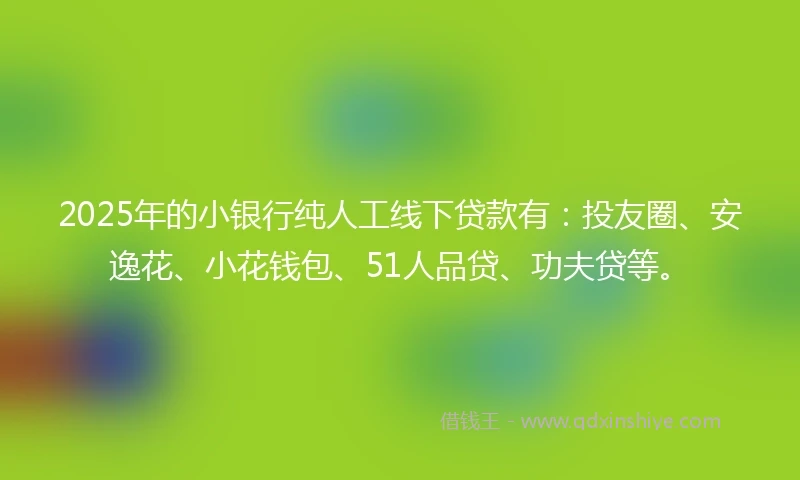 2025年的小银行纯人工线下贷款有：投友圈、安逸花、小花钱包、51人品贷、功夫贷等。