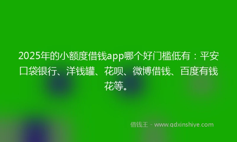2025年的小额度借钱app哪个好门槛低有：平安口袋银行、洋钱罐、花呗、微博借钱、百度有钱花等。