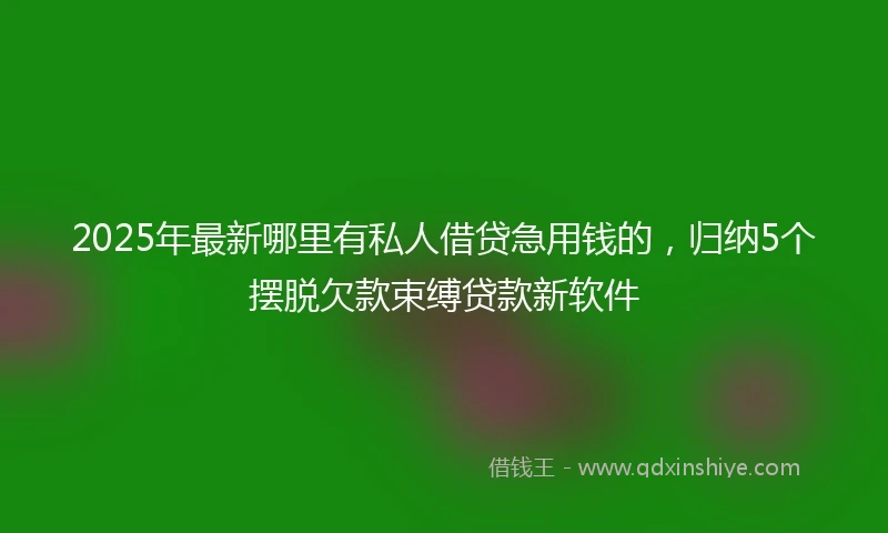 2025年最新哪里有私人借贷急用钱的，归纳5个摆脱欠款束缚贷款新软件