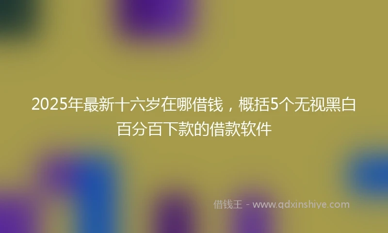 2025年最新十六岁在哪借钱，概括5个无视黑白百分百下款的借款软件