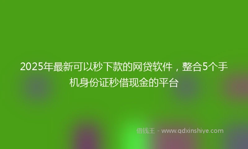 2025年最新可以秒下款的网贷软件，整合5个手机身份证秒借现金的平台