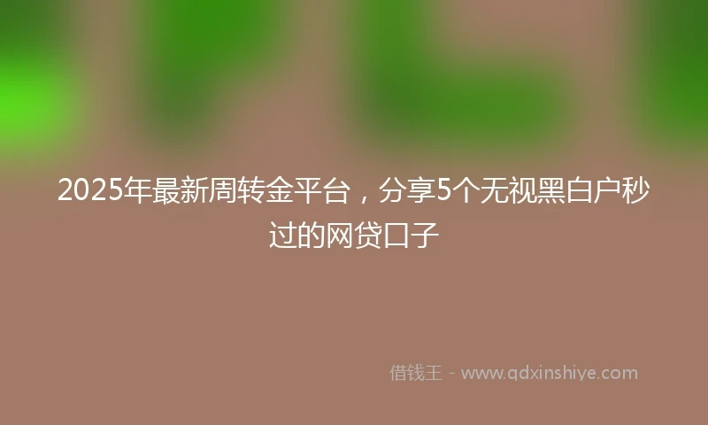 2025年最新周转金平台，分享5个无视黑白户秒过的网贷口子