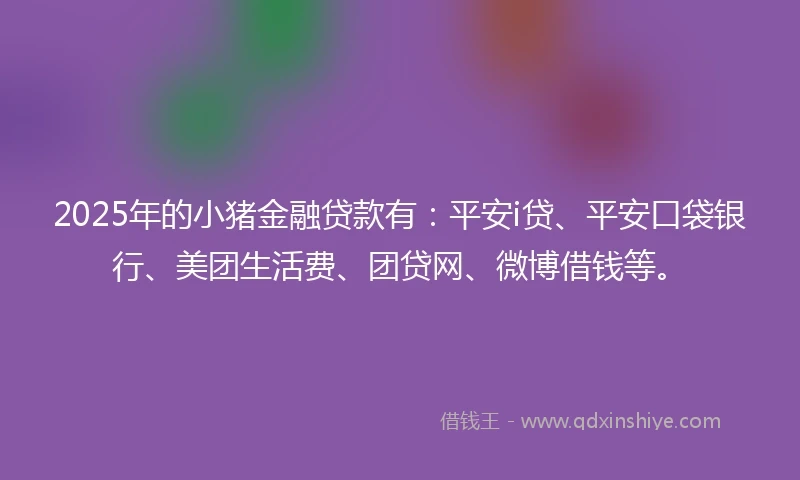 2025年的小猪金融贷款有：平安i贷、平安口袋银行、美团生活费、团贷网、微博借钱等。