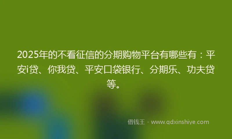 2025年的不看征信的分期购物平台有哪些有：平安i贷、你我贷、平安口袋银行、分期乐、功夫贷等。