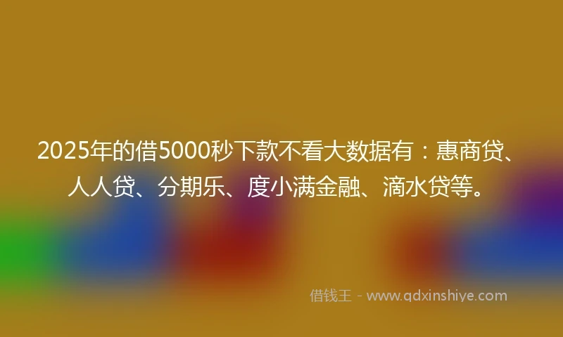 2025年的借5000秒下款不看大数据有：惠商贷、人人贷、分期乐、度小满金融、滴水贷等。