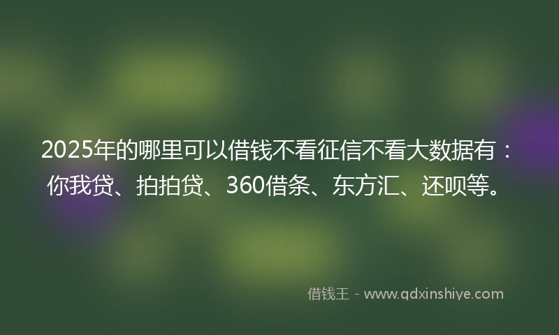 2025年的哪里可以借钱不看征信不看大数据有：你我贷、拍拍贷、360借条、东方汇、还呗等。