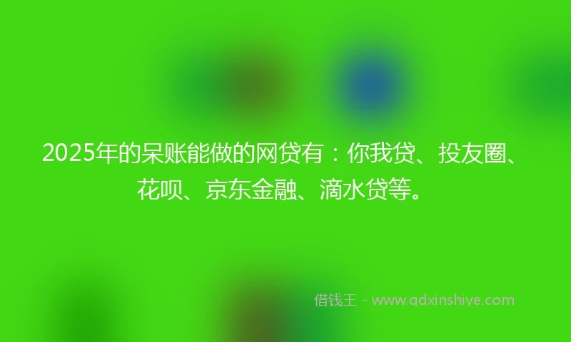 2025年的呆账能做的网贷有：你我贷、投友圈、花呗、京东金融、滴水贷等。
