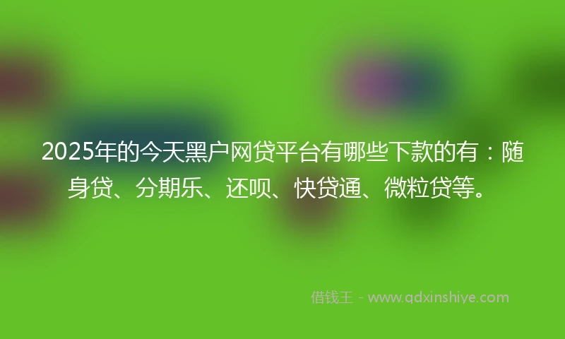 2025年的今天黑户网贷平台有哪些下款的有：随身贷、分期乐、还呗、快贷通、微粒贷等。
