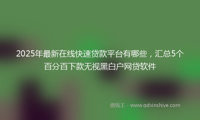 2025年最新在线快速贷款平台有哪些，汇总5个百分百下款无视黑白户网贷软件