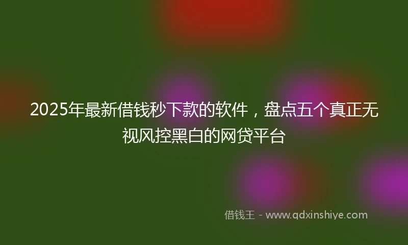 2025年最新借钱秒下款的软件，盘点五个真正无视风控黑白的网贷平台