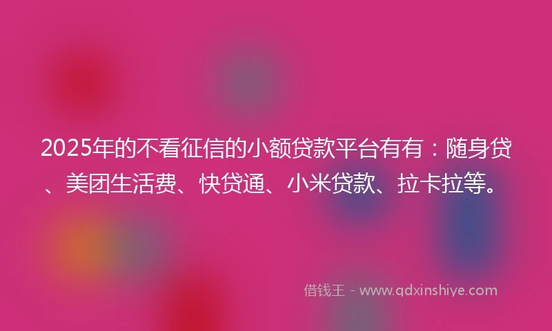 2025年的不看征信的小额贷款平台有有：随身贷、美团生活费、快贷通、小米贷款、拉卡拉等。