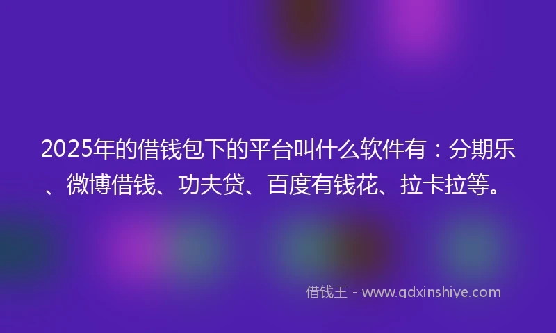 2025年的借钱包下的平台叫什么软件有：分期乐、微博借钱、功夫贷、百度有钱花、拉卡拉等。