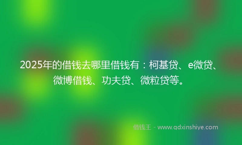 2025年的借钱去哪里借钱有：柯基贷、e微贷、微博借钱、功夫贷、微粒贷等。