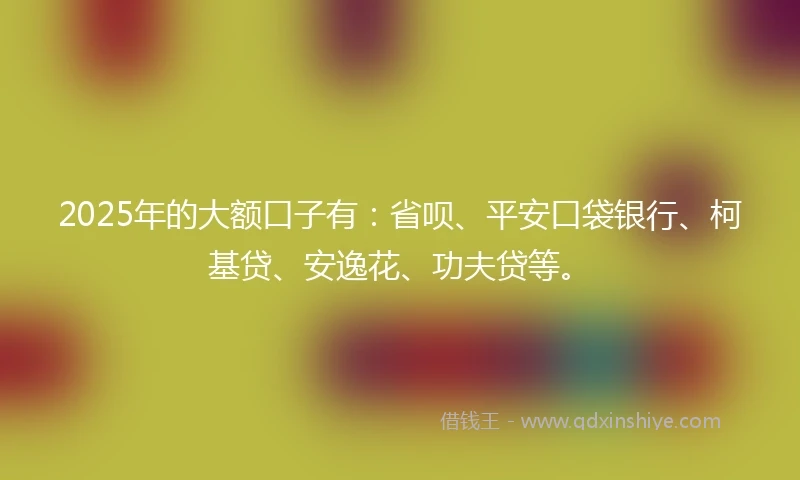 2025年的大额口子有：省呗、平安口袋银行、柯基贷、安逸花、功夫贷等。