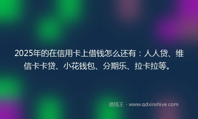 2025年的在信用卡上借钱怎么还有：人人贷、维信卡卡贷、小花钱包、分期乐、拉卡拉等。