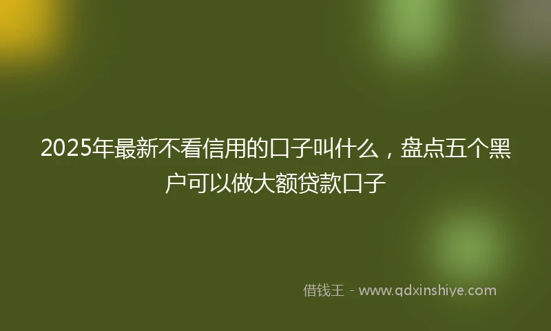 2025年最新不看信用的口子叫什么，盘点五个黑户可以做大额贷款口子