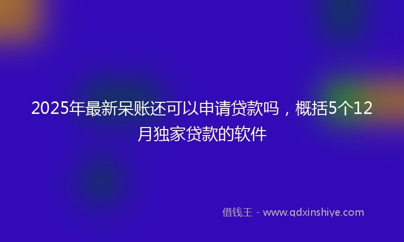 2025年最新呆账还可以申请贷款吗，概括5个12月独家贷款的软件