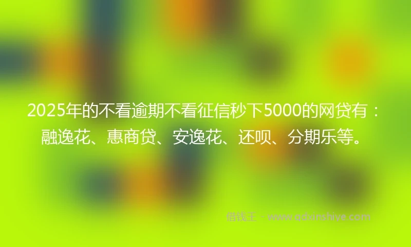 2025年的不看逾期不看征信秒下5000的网贷有：融逸花、惠商贷、安逸花、还呗、分期乐等。