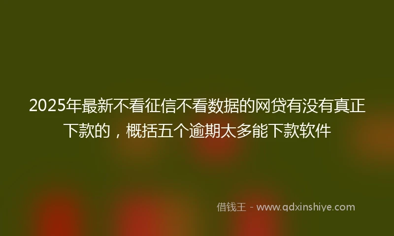 2025年最新不看征信不看数据的网贷有没有真正下款的，概括五个逾期太多能下款软件
