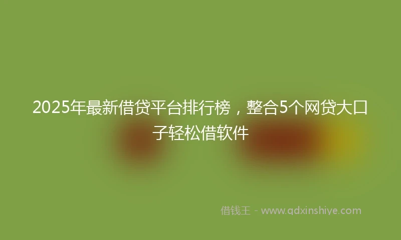 2025年最新借贷平台排行榜，整合5个网贷大口子轻松借软件