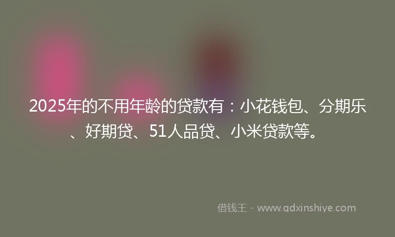 2025年的不用年龄的贷款有：小花钱包、分期乐、好期贷、51人品贷、小米贷款等。
