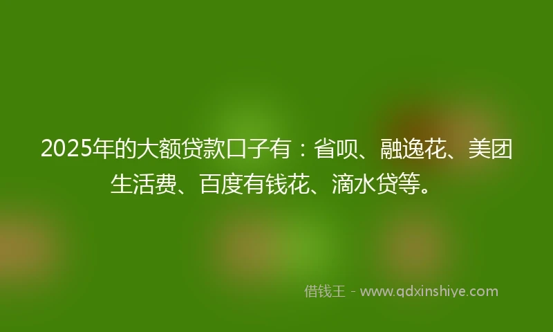 2025年的大额贷款口子有：省呗、融逸花、美团生活费、百度有钱花、滴水贷等。