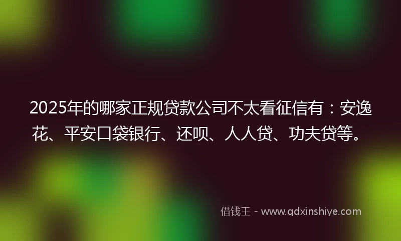 2025年的哪家正规贷款公司不太看征信有：安逸花、平安口袋银行、还呗、人人贷、功夫贷等。