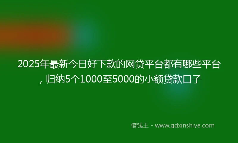2025年最新今日好下款的网贷平台都有哪些平台，归纳5个1000至5000的小额贷款口子