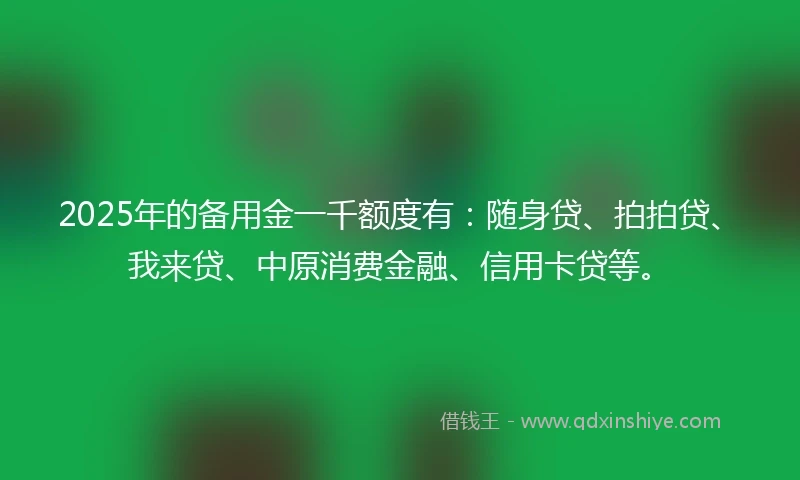 2025年的备用金一千额度有：随身贷、拍拍贷、我来贷、中原消费金融、信用卡贷等。