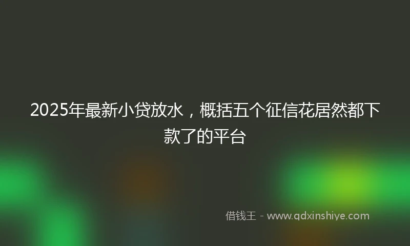 2025年最新小贷放水，概括五个征信花居然都下款了的平台