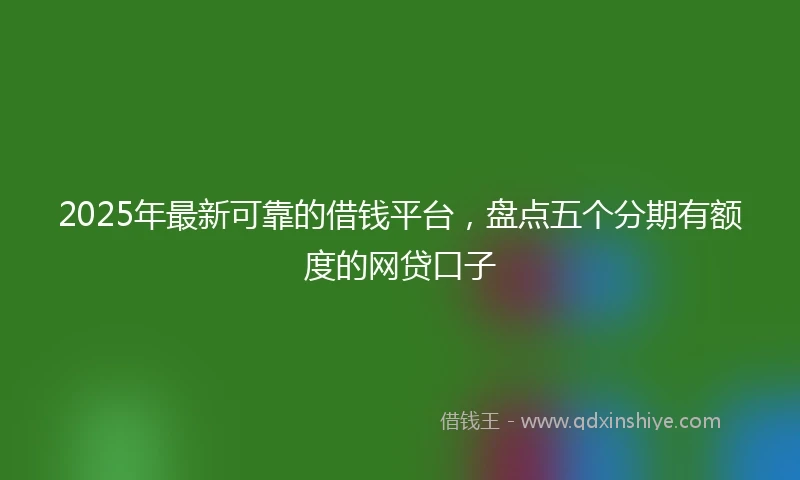 2025年最新可靠的借钱平台，盘点五个分期有额度的网贷口子