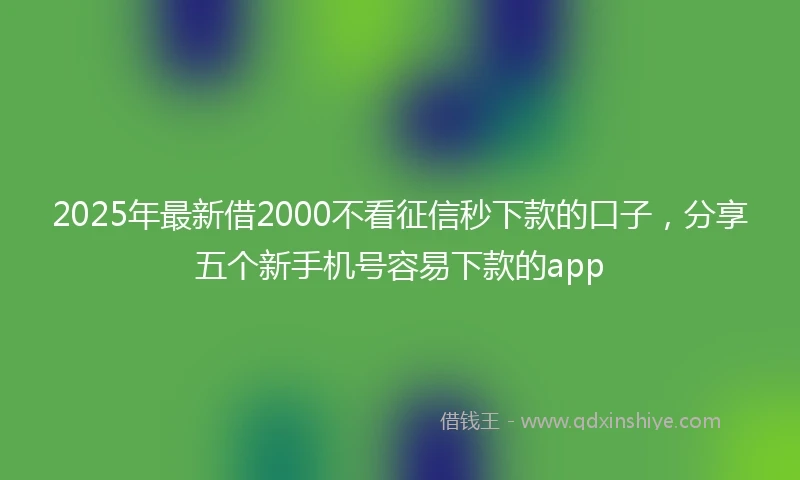 2025年最新借2000不看征信秒下款的口子，分享五个新手机号容易下款的app
