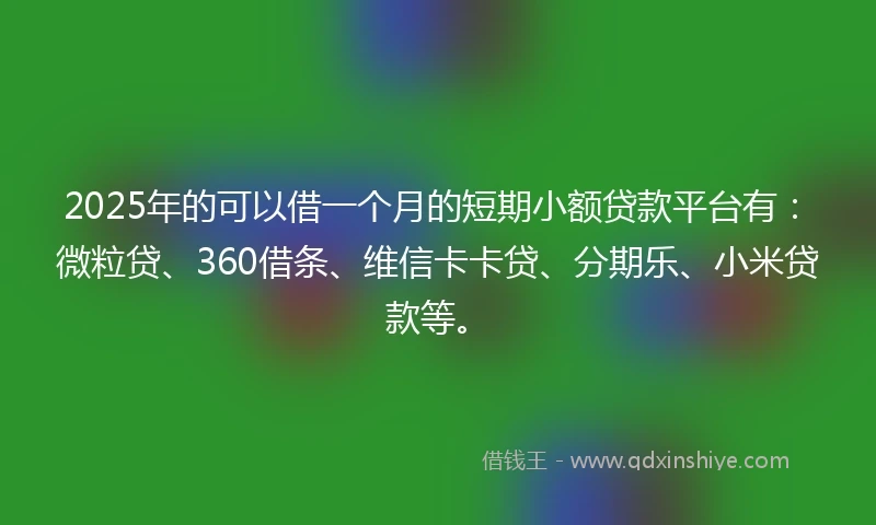 2025年的可以借一个月的短期小额贷款平台有：微粒贷、360借条、维信卡卡贷、分期乐、小米贷款等。