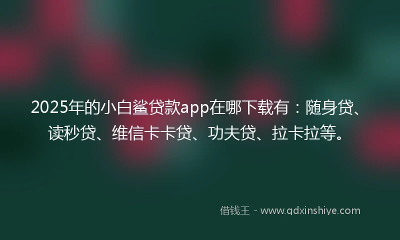 2025年的小白鲨贷款app在哪下载有：随身贷、读秒贷、维信卡卡贷、功夫贷、拉卡拉等。