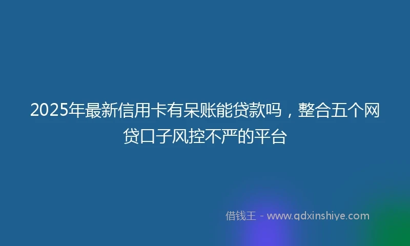 2025年最新信用卡有呆账能贷款吗，整合五个网贷口子风控不严的平台