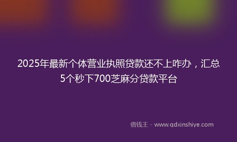 2025年最新个体营业执照贷款还不上咋办，汇总5个秒下700芝麻分贷款平台