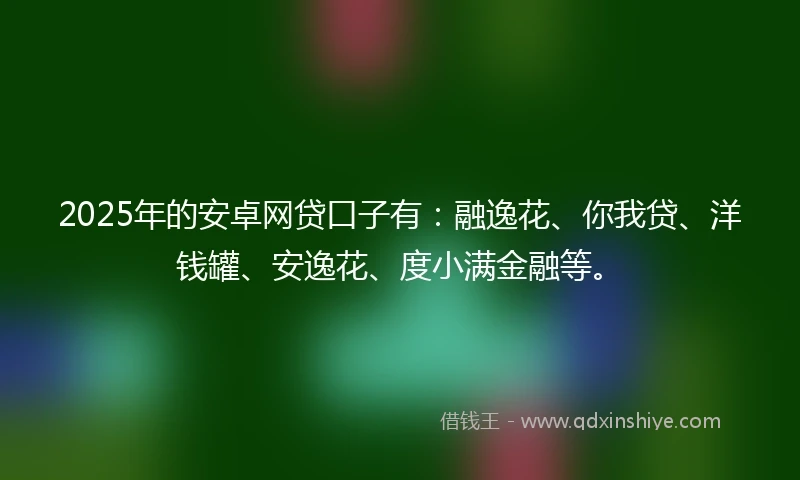 2025年的安卓网贷口子有：融逸花、你我贷、洋钱罐、安逸花、度小满金融等。