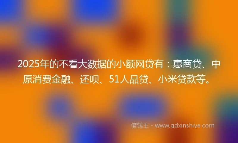 2025年的不看大数据的小额网贷有：惠商贷、中原消费金融、还呗、51人品贷、小米贷款等。