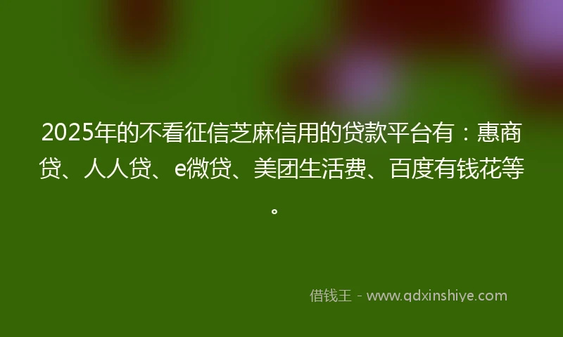 2025年的不看征信芝麻信用的贷款平台有：惠商贷、人人贷、e微贷、美团生活费、百度有钱花等。