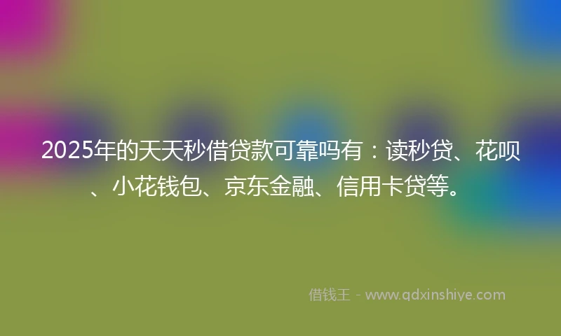 2025年的天天秒借贷款可靠吗有：读秒贷、花呗、小花钱包、京东金融、信用卡贷等。