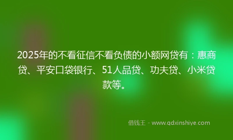 2025年的不看征信不看负债的小额网贷有：惠商贷、平安口袋银行、51人品贷、功夫贷、小米贷款等。
