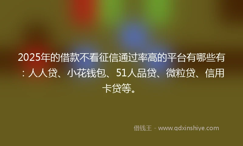 2025年的借款不看征信通过率高的平台有哪些有：人人贷、小花钱包、51人品贷、微粒贷、信用卡贷等。
