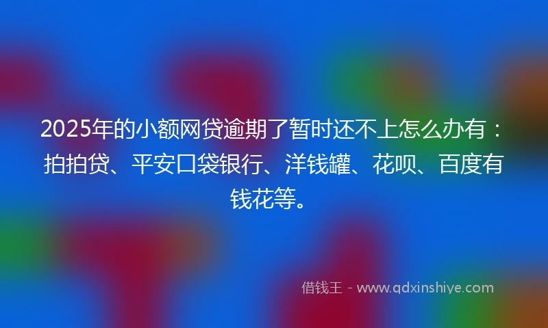 2025年的小额网贷逾期了暂时还不上怎么办有：拍拍贷、平安口袋银行、洋钱罐、花呗、百度有钱花等。