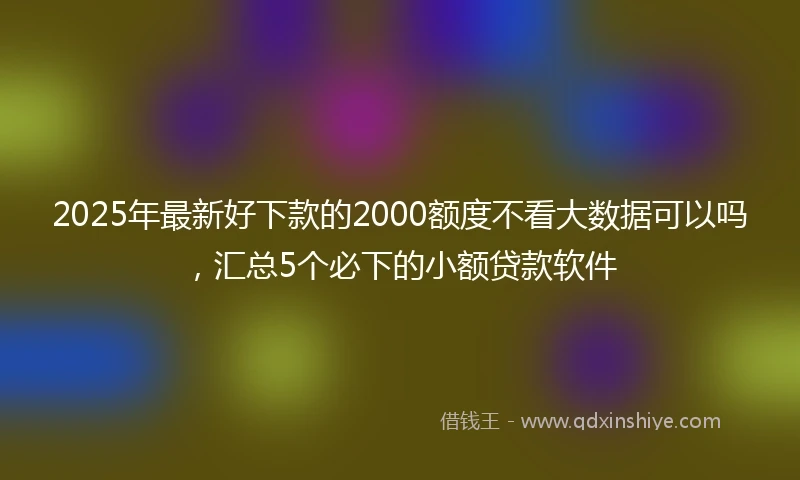 2025年最新好下款的2000额度不看大数据可以吗，汇总5个必下的小额贷款软件