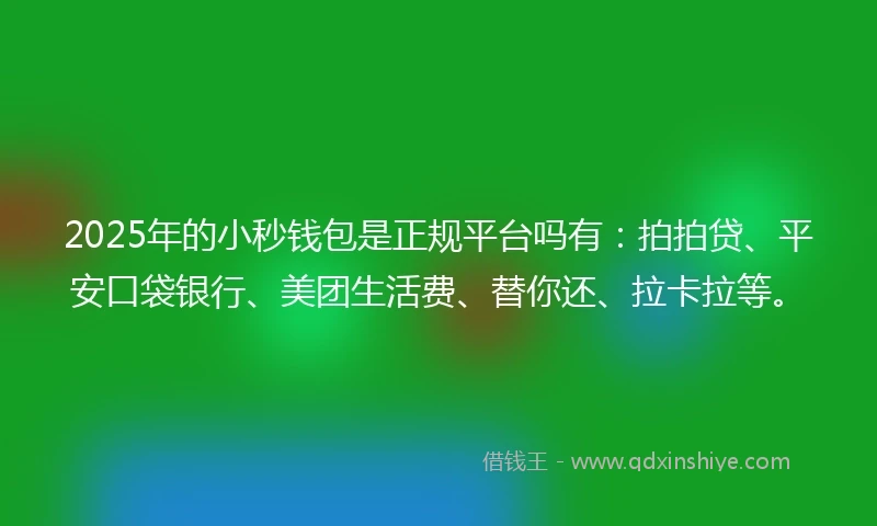 2025年的小秒钱包是正规平台吗有：拍拍贷、平安口袋银行、美团生活费、替你还、拉卡拉等。