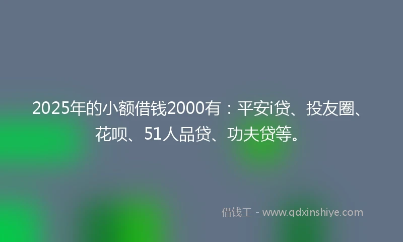 2025年的小额借钱2000有：平安i贷、投友圈、花呗、51人品贷、功夫贷等。