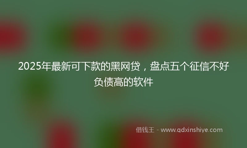 2025年最新可下款的黑网贷，盘点五个征信不好负债高的软件