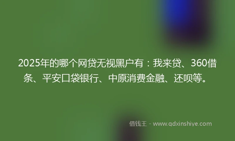 2025年的哪个网贷无视黑户有：我来贷、360借条、平安口袋银行、中原消费金融、还呗等。