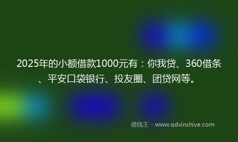 2025年的小额借款1000元有：你我贷、360借条、平安口袋银行、投友圈、团贷网等。