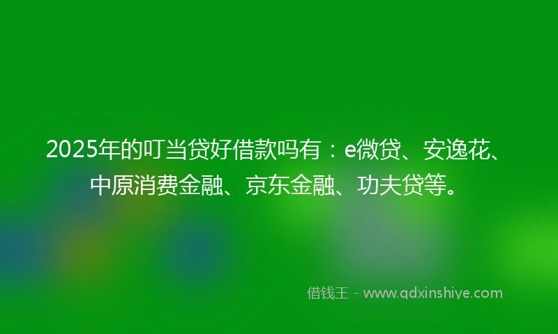2025年的叮当贷好借款吗有：e微贷、安逸花、中原消费金融、京东金融、功夫贷等。